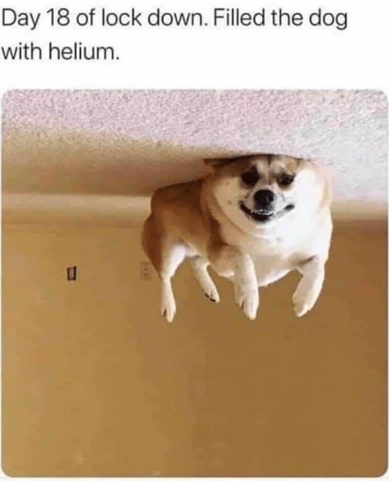 FBIMG1607689417459