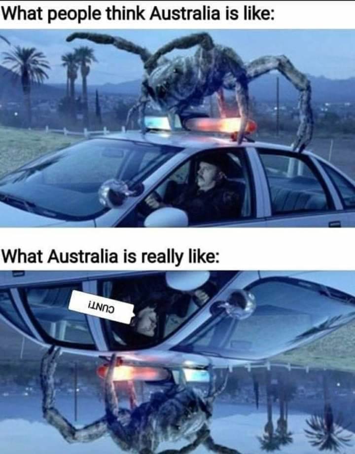 FBIMG1611291846952