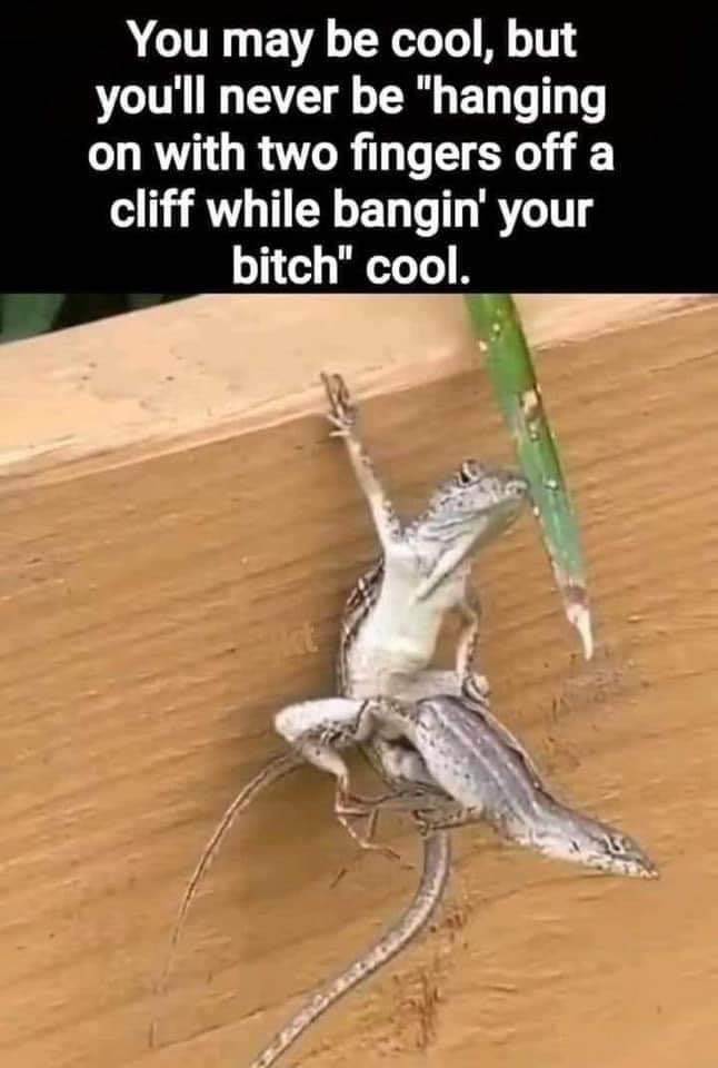 FBIMG1610168028533