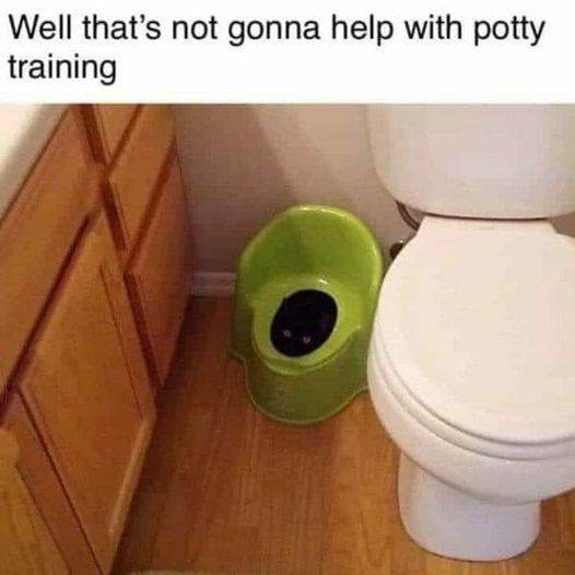 potty