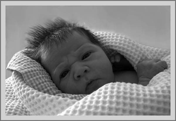 grandson no 2