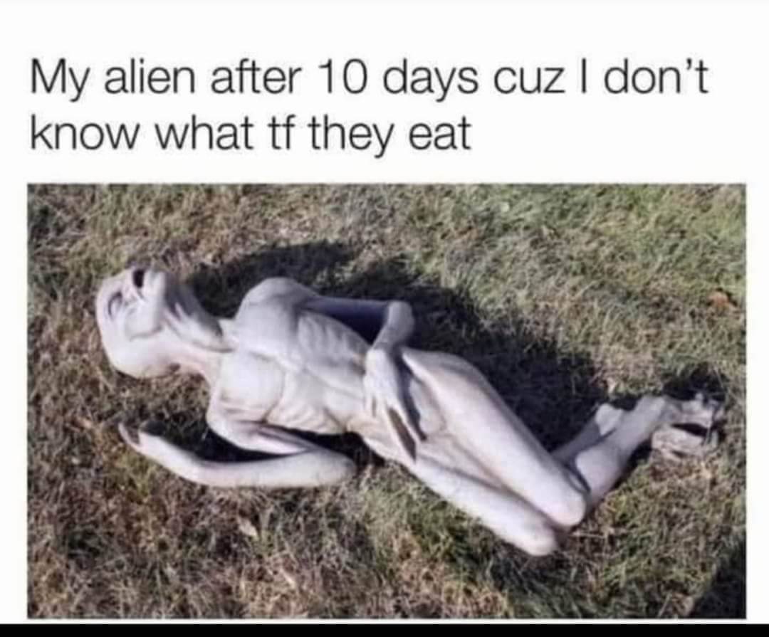 FBIMG1623485802049