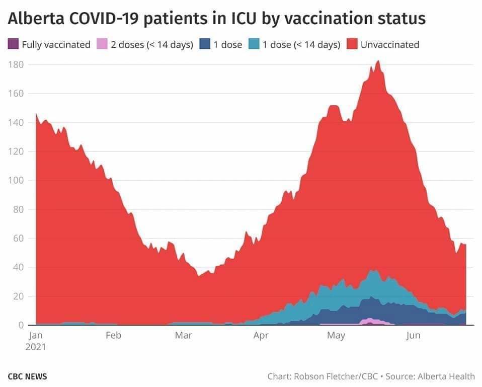 Vaccination effect