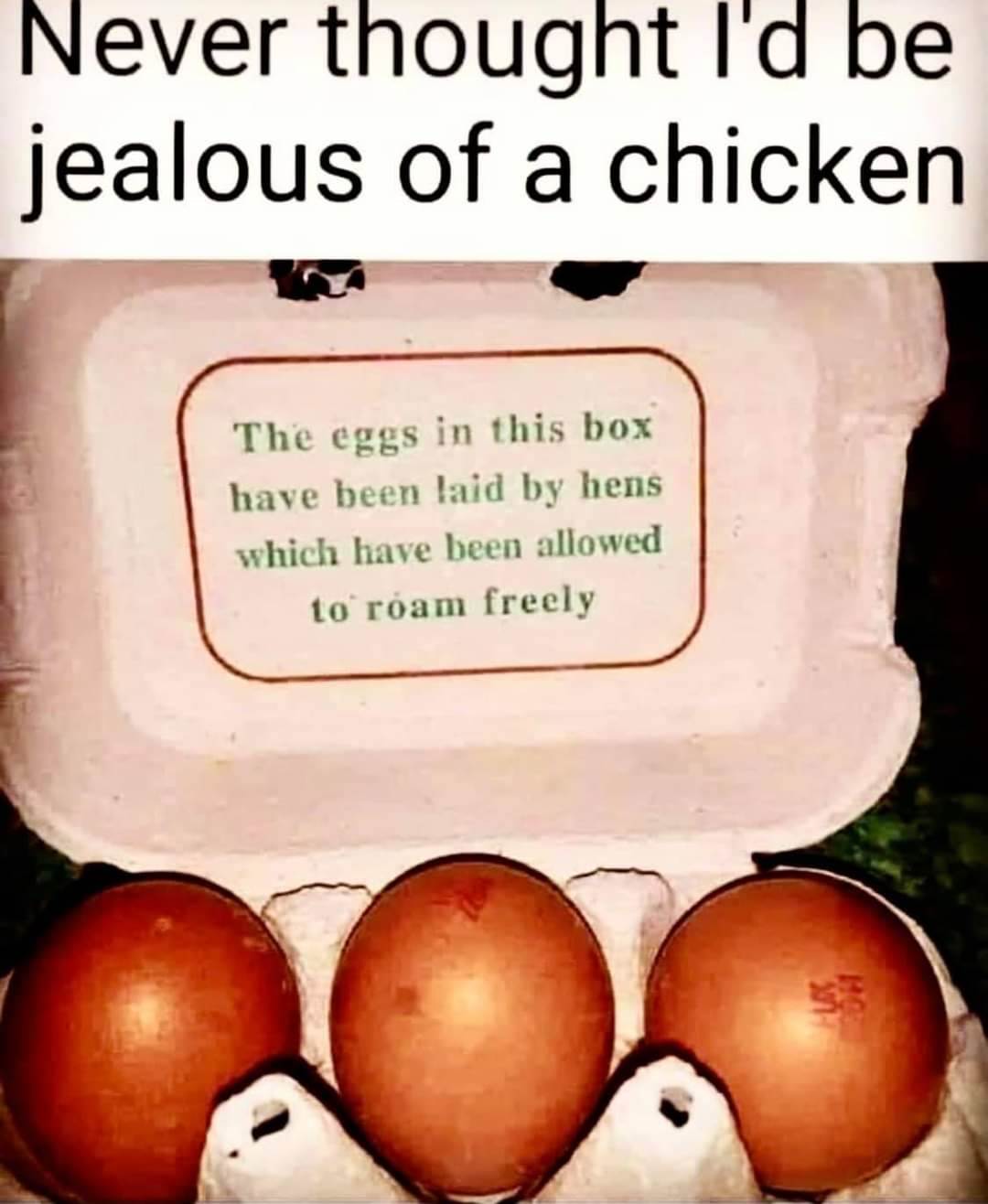FBIMG1629232911498