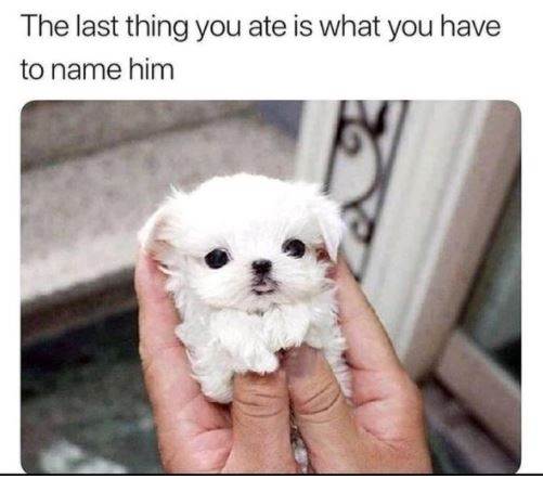 uuuuuuuuuuuuuuuuuuuuu
