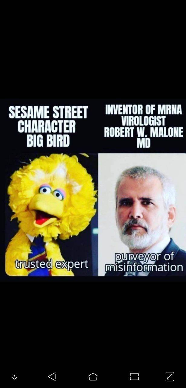 Memes