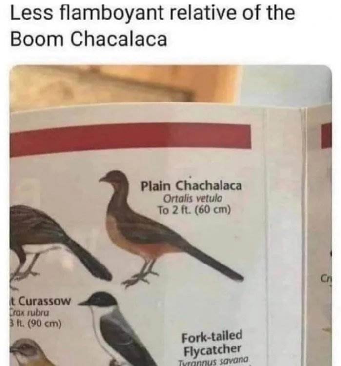 plain chakalaka