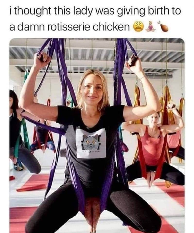 chicken