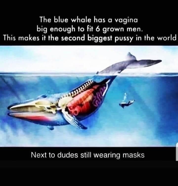 FBIMG1644884316538