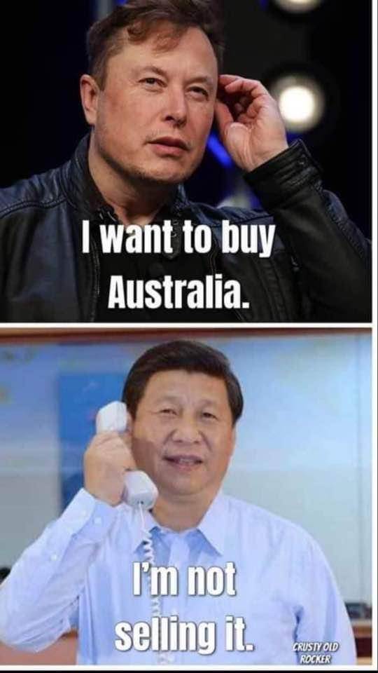 Memes
