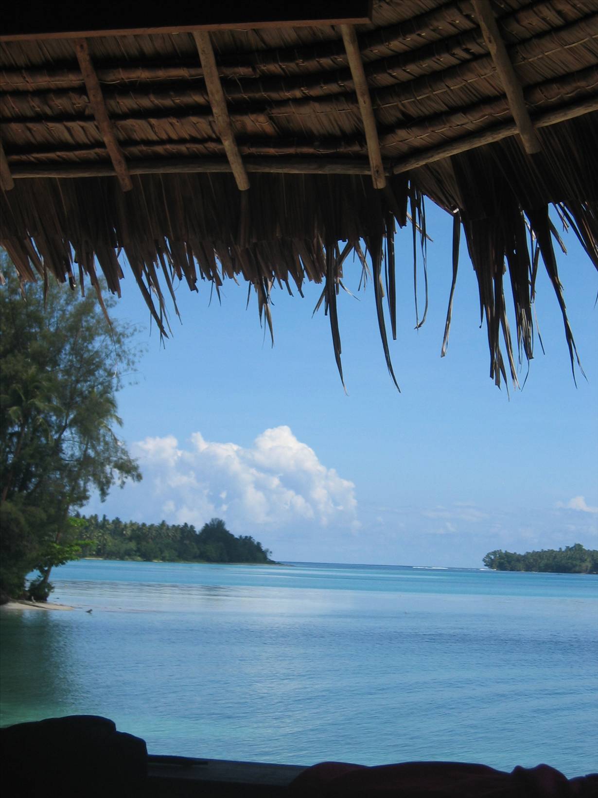 PNG December 07