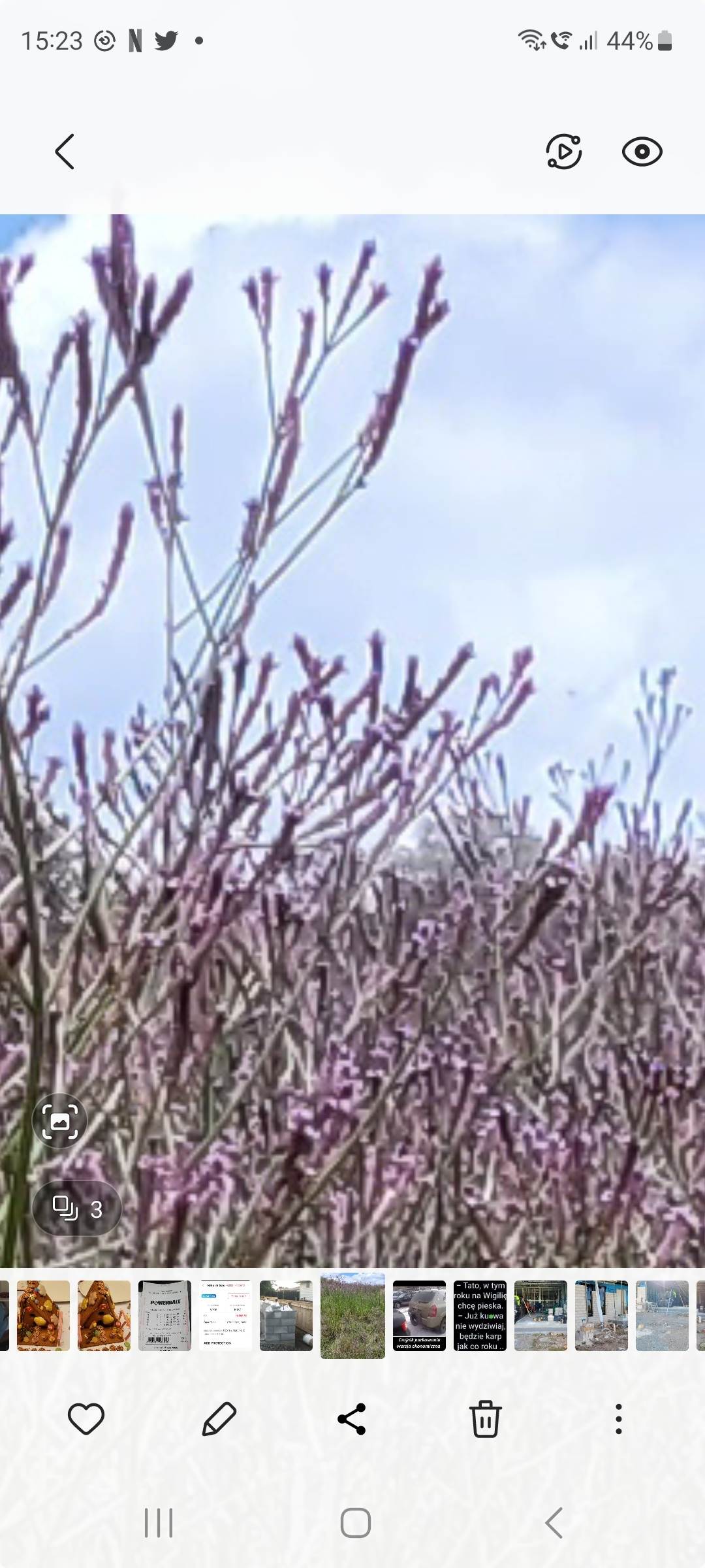 Screenshot20230123152332Gallery