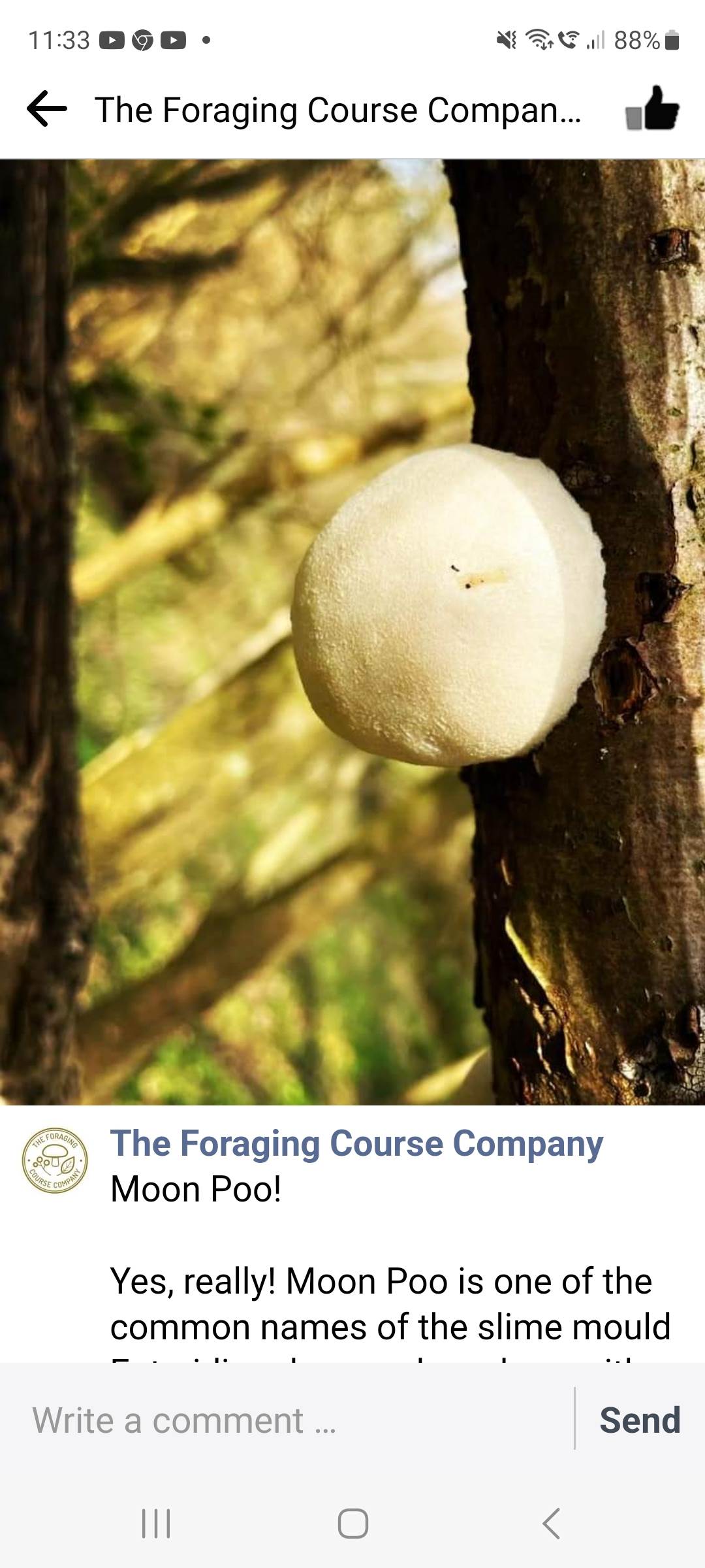 Screenshot20230319113344Facebook