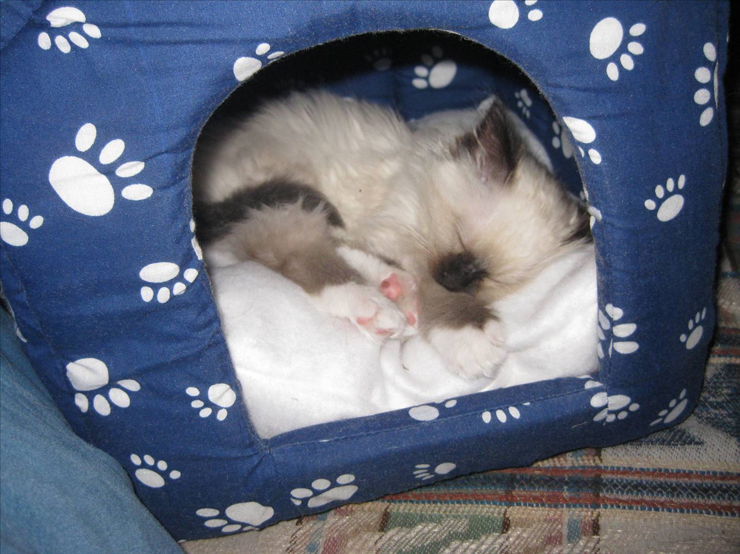 My pussy