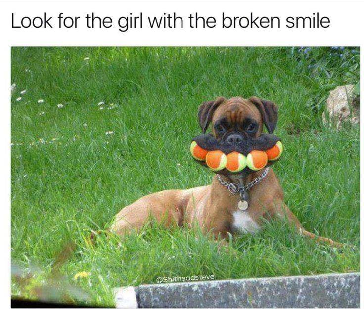 ball dog