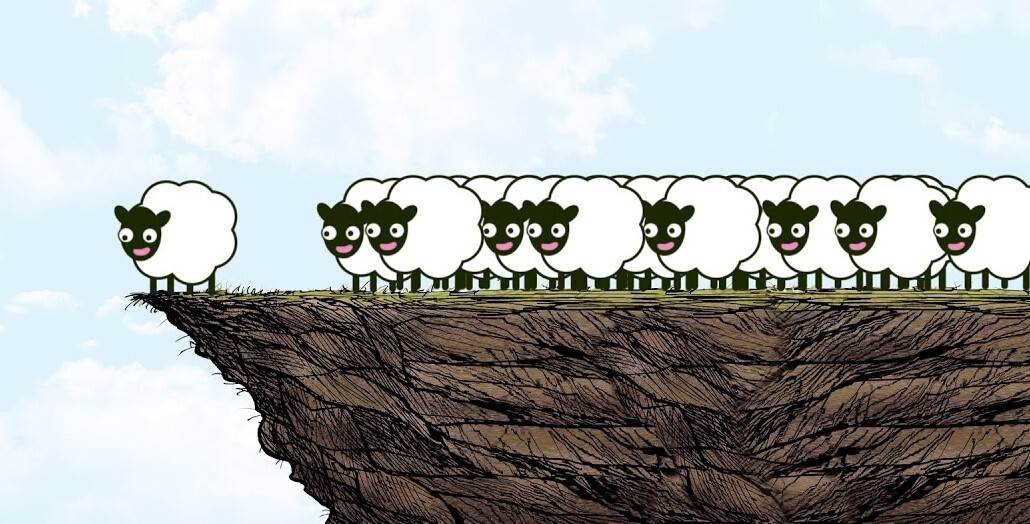sheep
