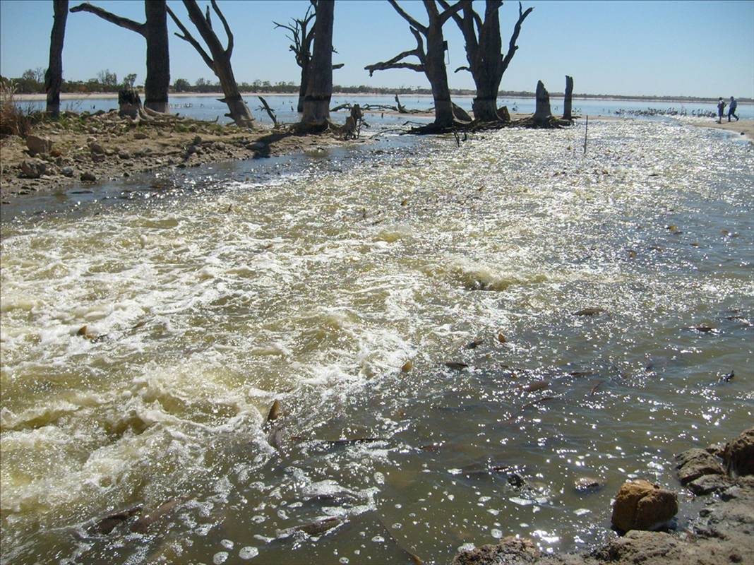 Lake Bonney 