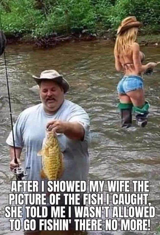 fish