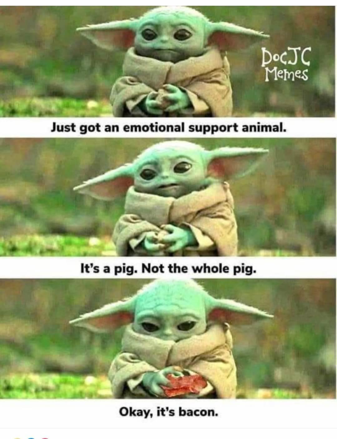 FBIMG1715417671164