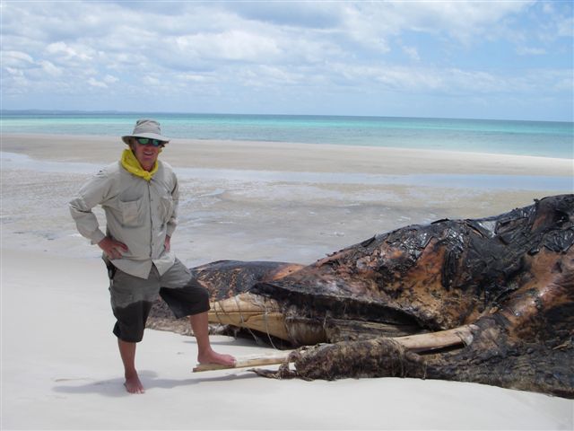 deadus whalus