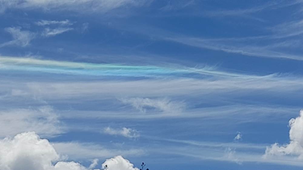 blue contrail