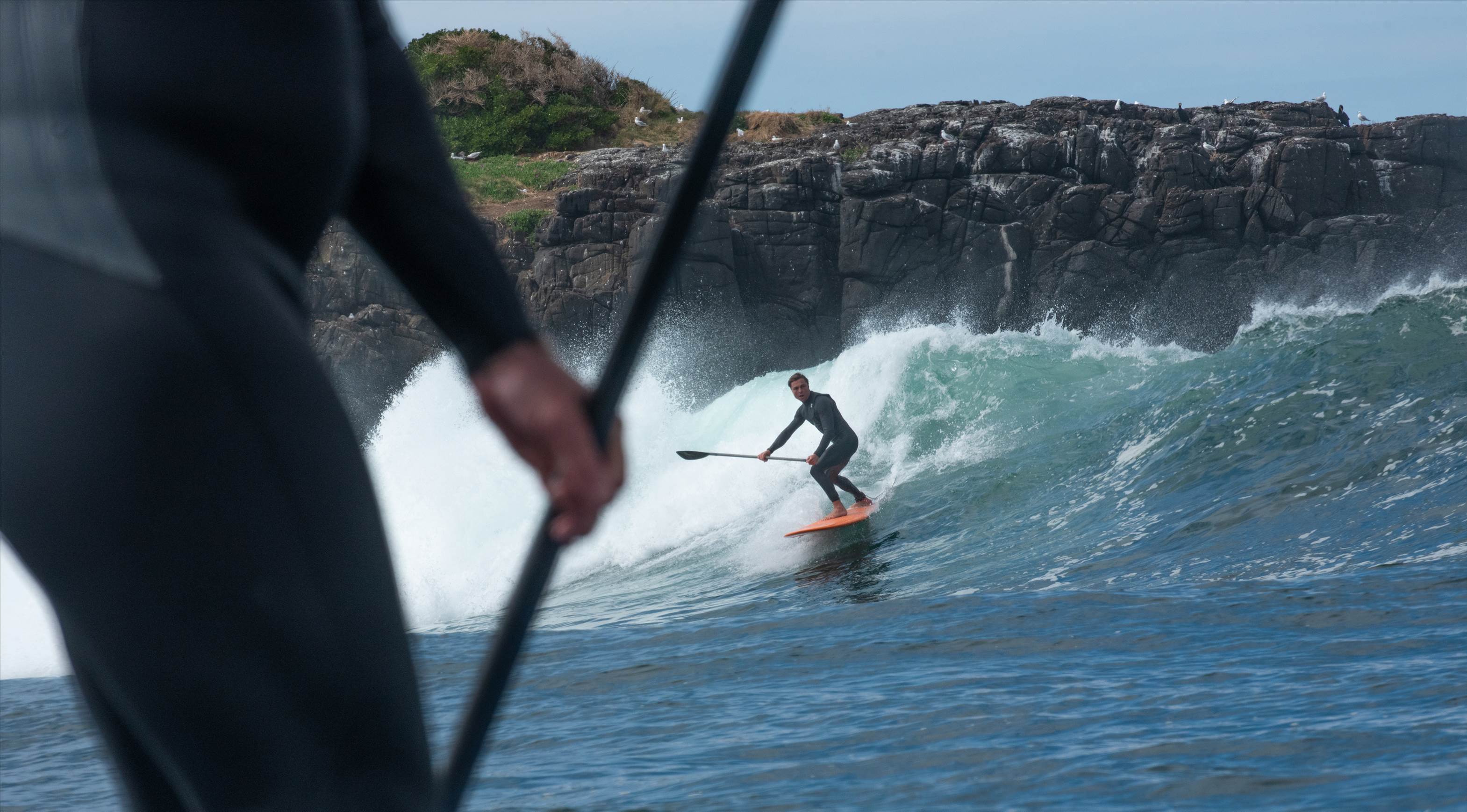 Sup island 2