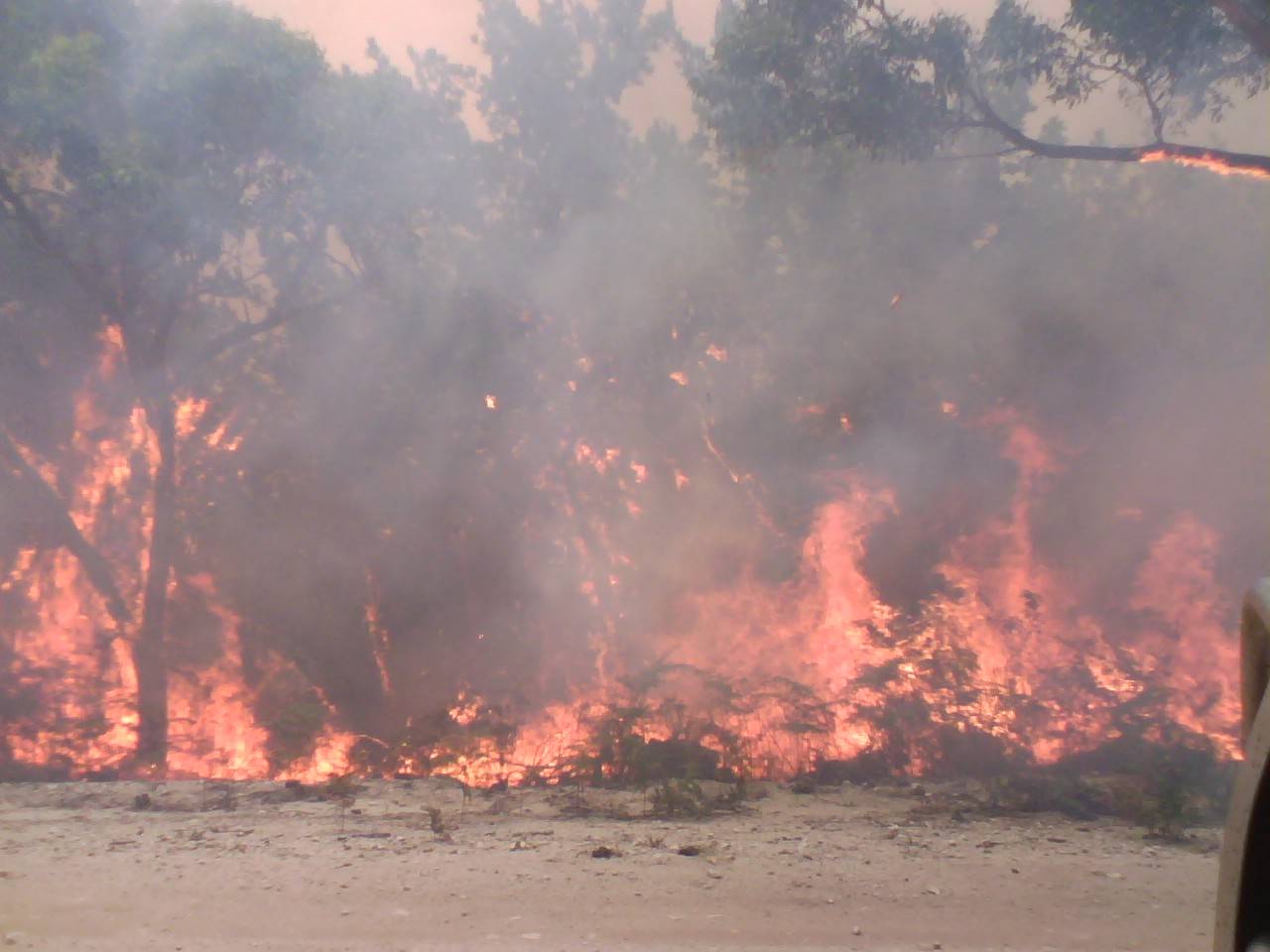 Prom fires