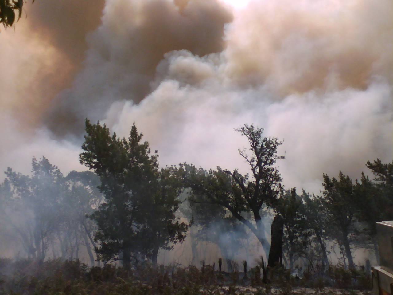 Prom fires