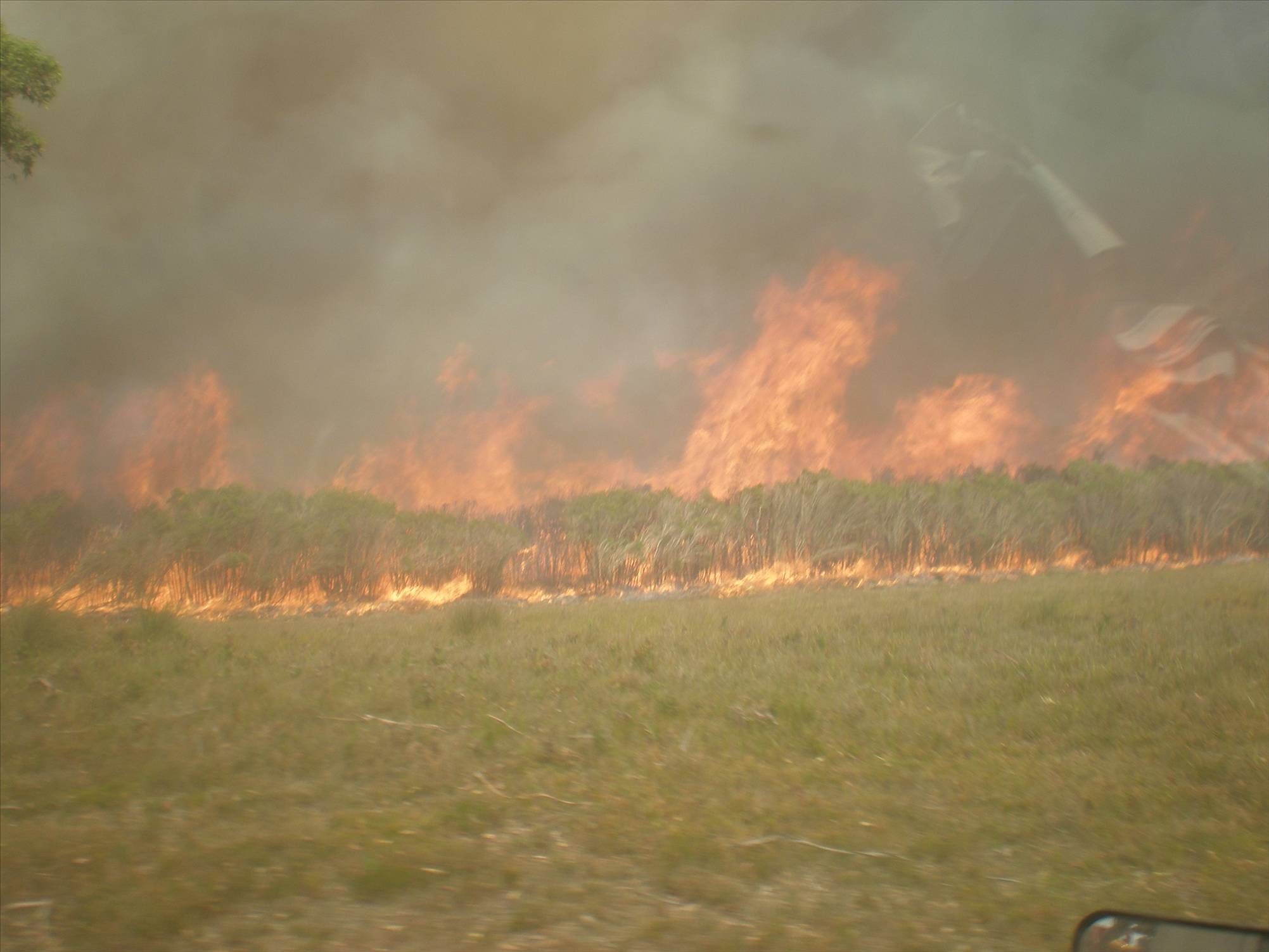 Prom Fires
