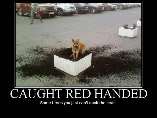 redhanded