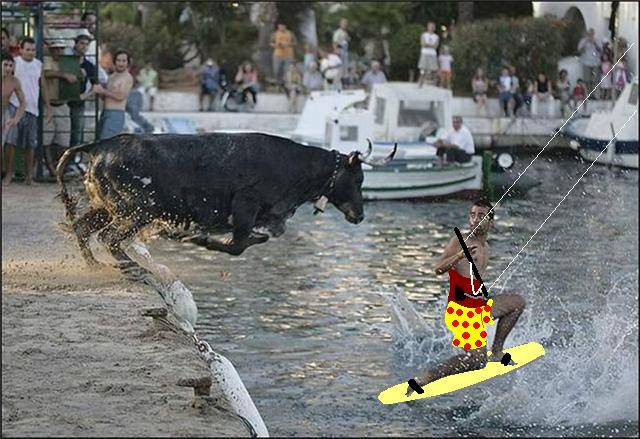 bull chasing guy