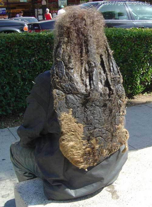 hair