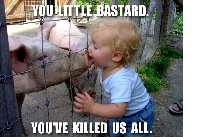 swine flu
