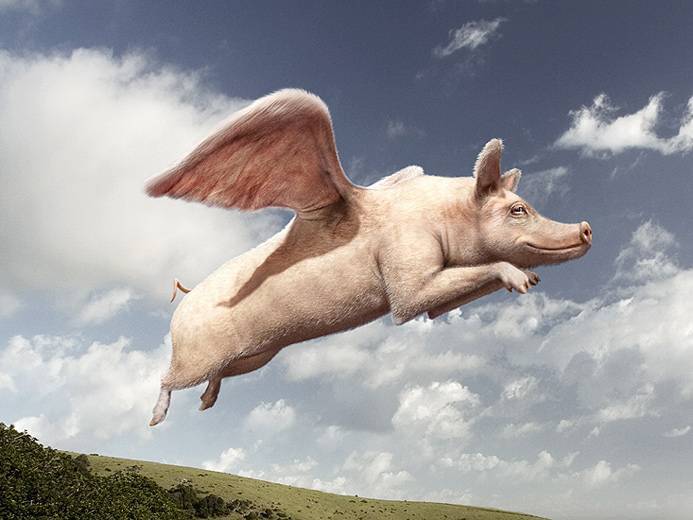 swineflu