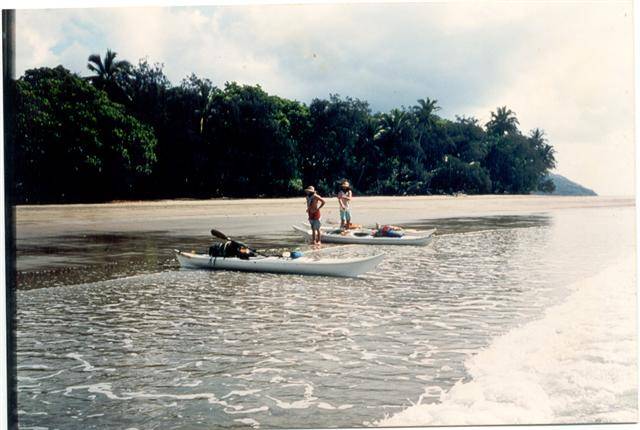 cedar bay (Small)