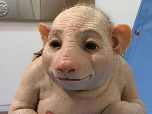 second symptom of swine flu