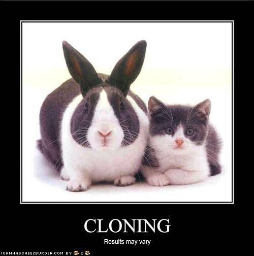 Funny 007