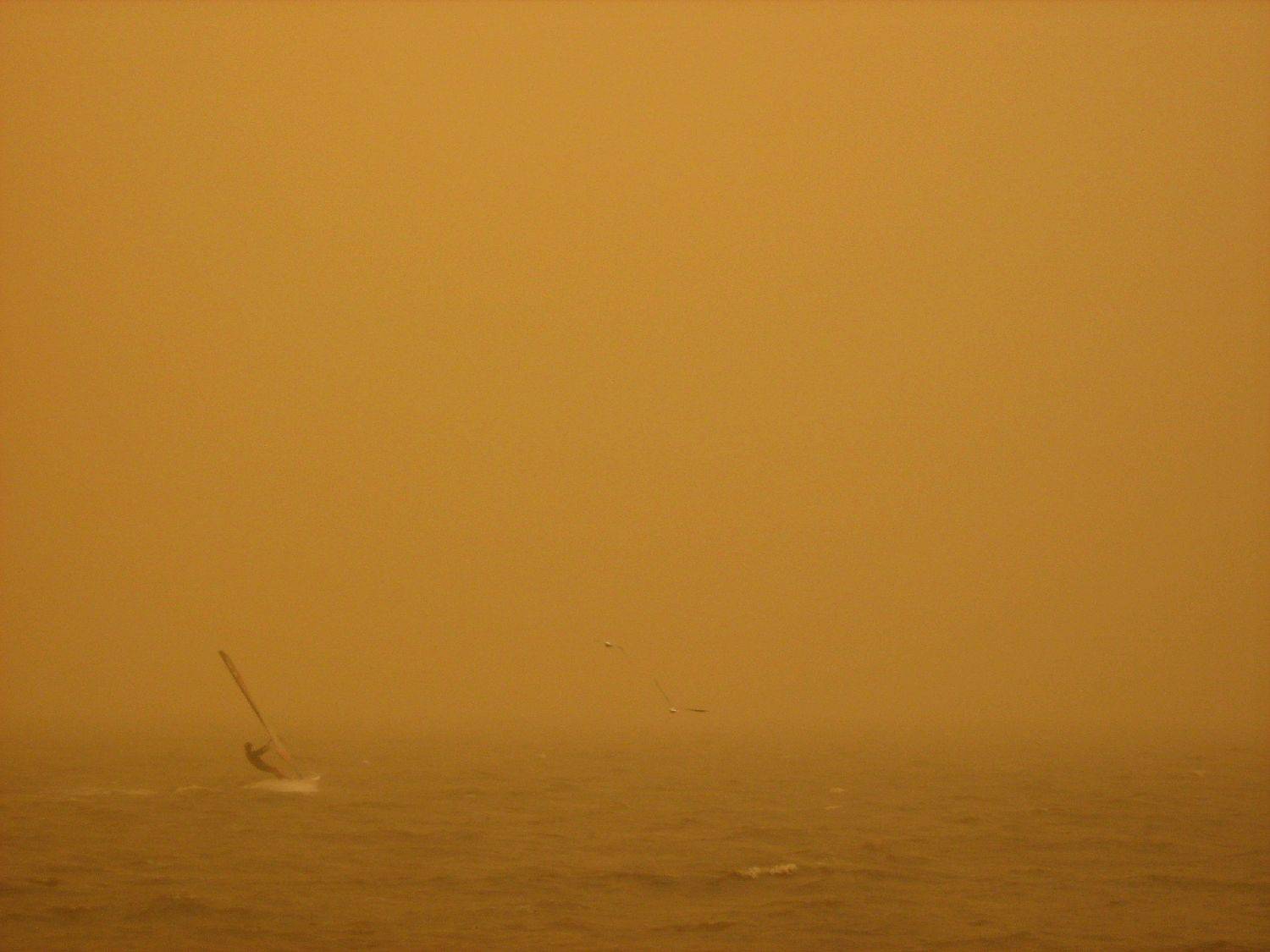 dusty day 016