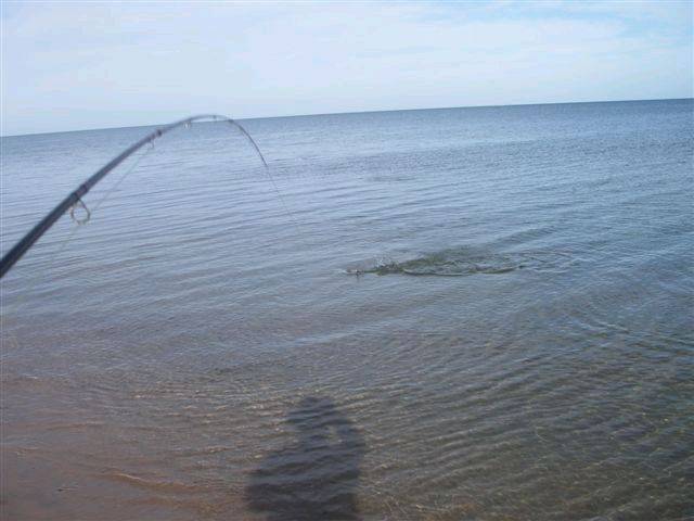 weipa 07 027
