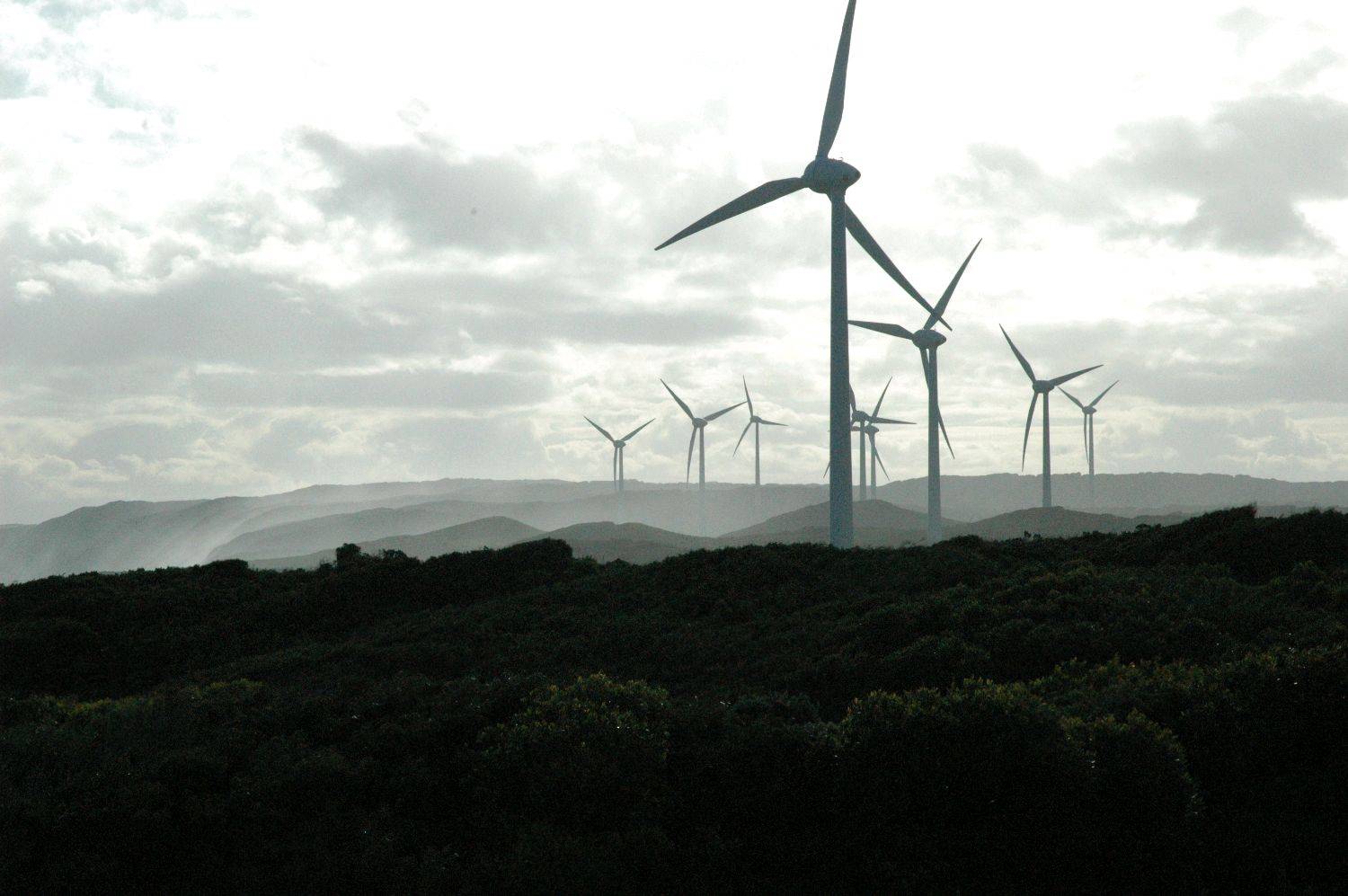 Albany wind farm