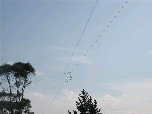 kite2