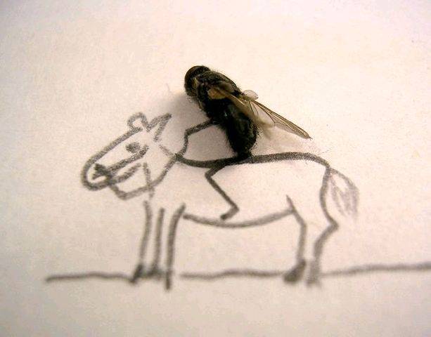 image002