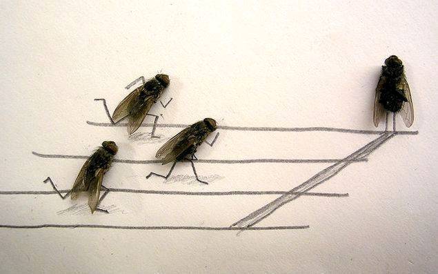 image006