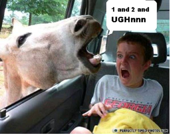 caption comp 264-2