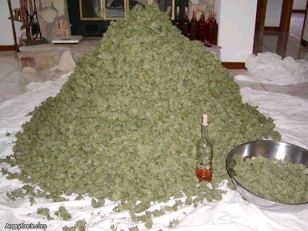 stash