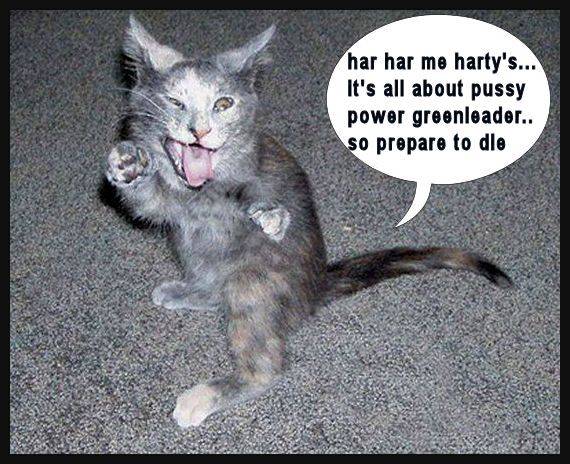 pussy power