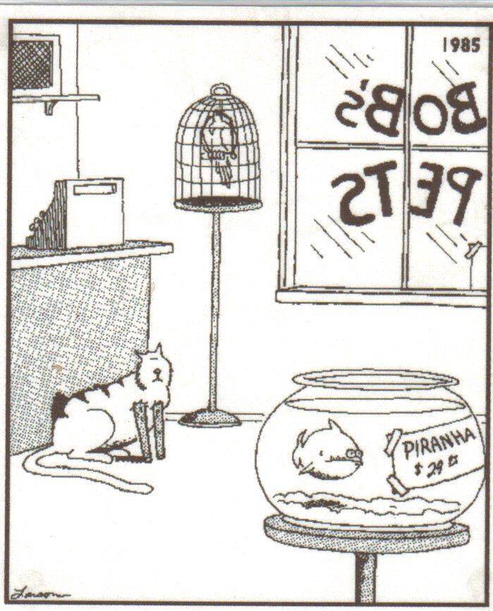 farside