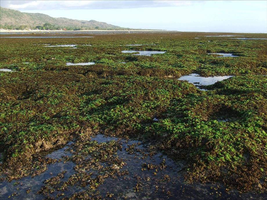 Bali Sumbawa 09 013