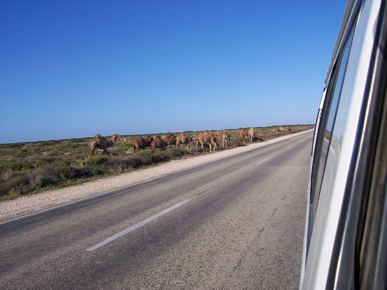 nullabor and coolgardie 109