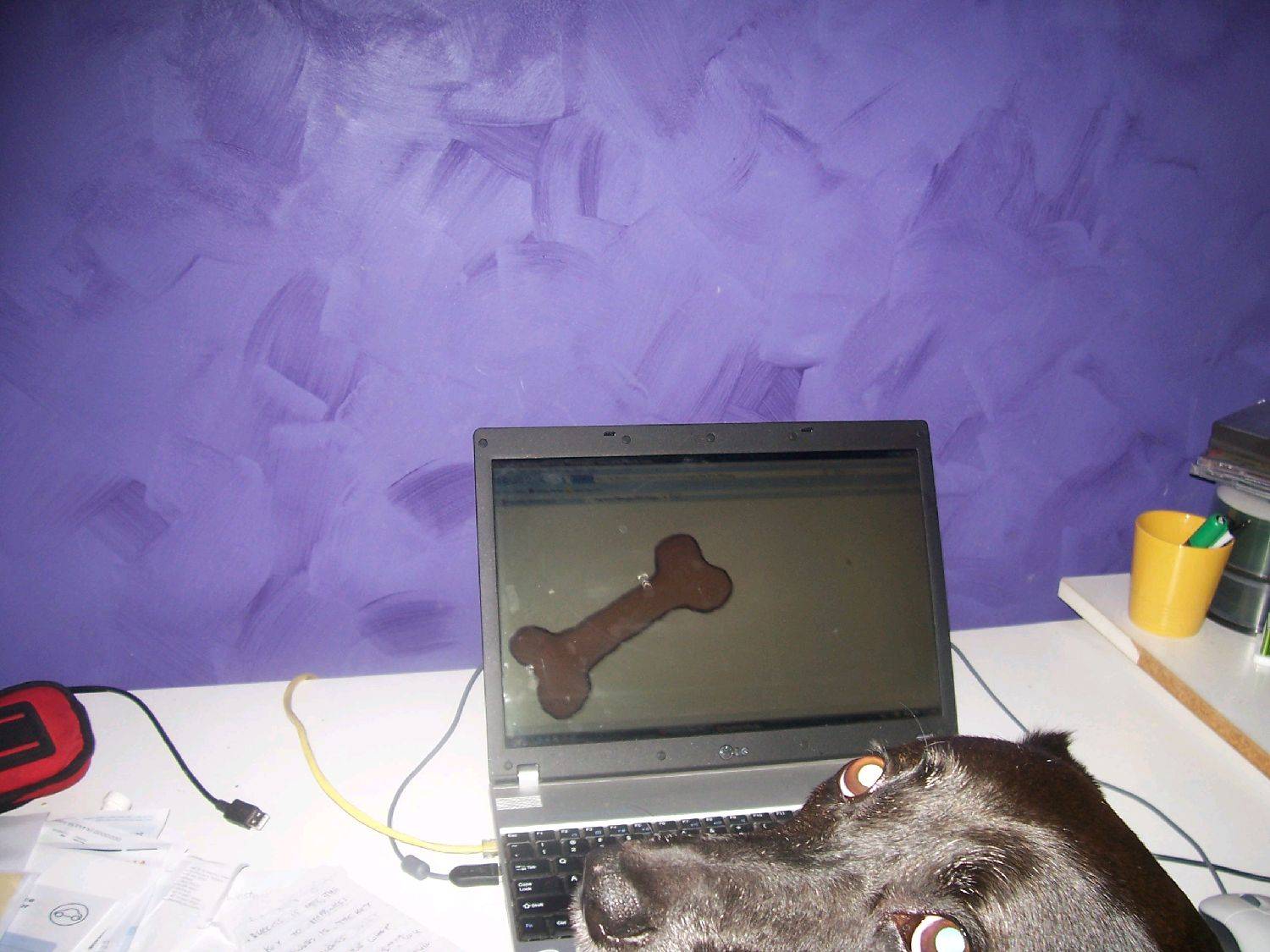 missy computer 003